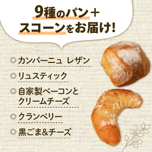 【自家培養酵母】ハード系パン9種 + スコーン1種 セット 惣菜パン 冷凍パン 京都
