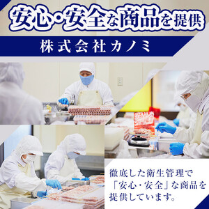 【年内配送12月15日入金まで】希少！！鹿児島ブランド「黒さつま鶏」「大隅産うなぎ」「黒豚」の大満足コラボ串セット 2808