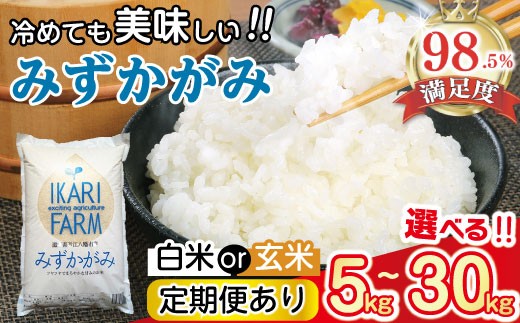 
                  令和7年産 みずかがみ 白米 / 玄米 近江米 5kg / 10kg / 30kg / 定期便 【CSKU2】  みずかがみ 米 お米 こめ コメ 白米 ご飯 精米 国産 送料無料 おすすめ 人気 大人気 国産 ランキング 滋賀県 近江八幡
                