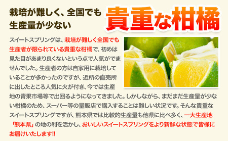 スイートスプリング 4kg 熊本県産 送料無料 旬 の みかん 熊本産 取り寄せ (3L～Sサイズ/3L-S混合) 《1月中旬-1月末頃出荷予定》熊本県 津奈木町 柑橘 希少品種 スイートスプリング 