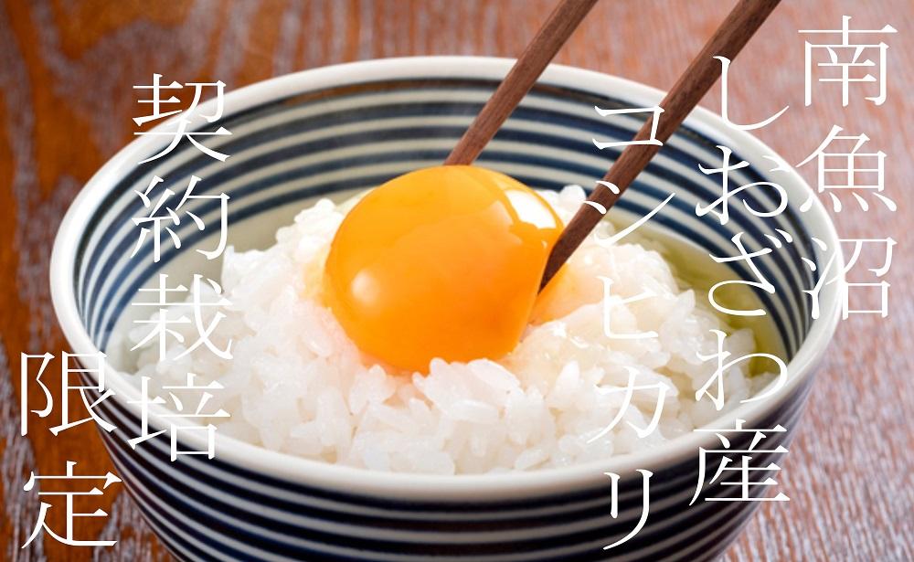 【令和7年産】【定期便】契約栽培限定 契約栽培 南魚沼しおざわ産コシヒカリ２Kg×12ヶ月