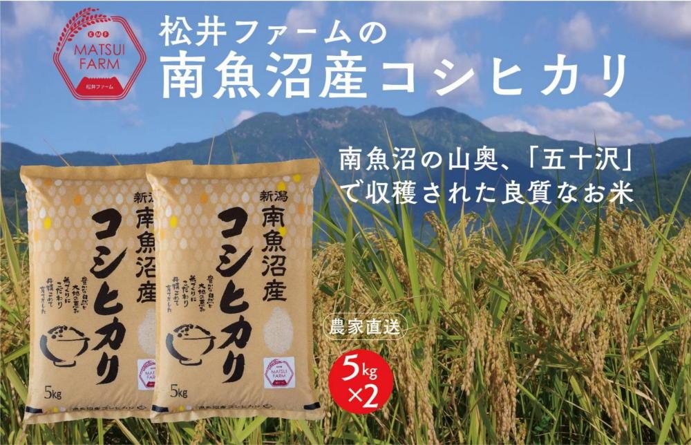 【令和8年産新米予約】【定期便（無洗米）】南魚沼産コシヒカリ（10kg×12回)【定期便 銘柄米 ブランド米 無洗米 こしひかり コシヒカリ 魚沼産 新潟米 産地直送 お米 ごはん】【2026年10月上旬より1ヶ月以内に順次発送予定】