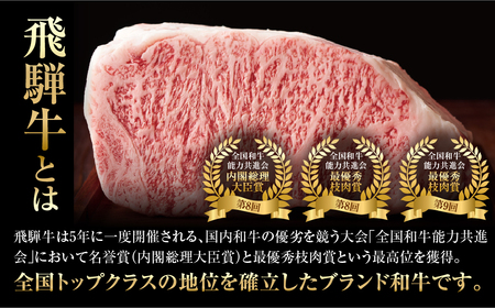 【ふるなびWEEK対象】飛騨牛 定期便 おすすめ全3回 定期便 FN-Limited