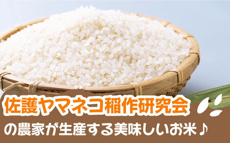 【令和5年産 】  特A 佐護 ツシマヤマネコ 米 みつめるにゃんBOX ダブル セット《対馬市》【一般社団法人MIT】玄米 対馬 精米 減農薬 猫 ギフト [WAP002] コダワリお米 こだわりお