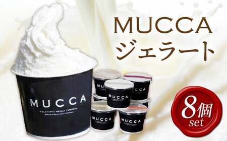 MUCCAジェラート　8個セット_mk024-003