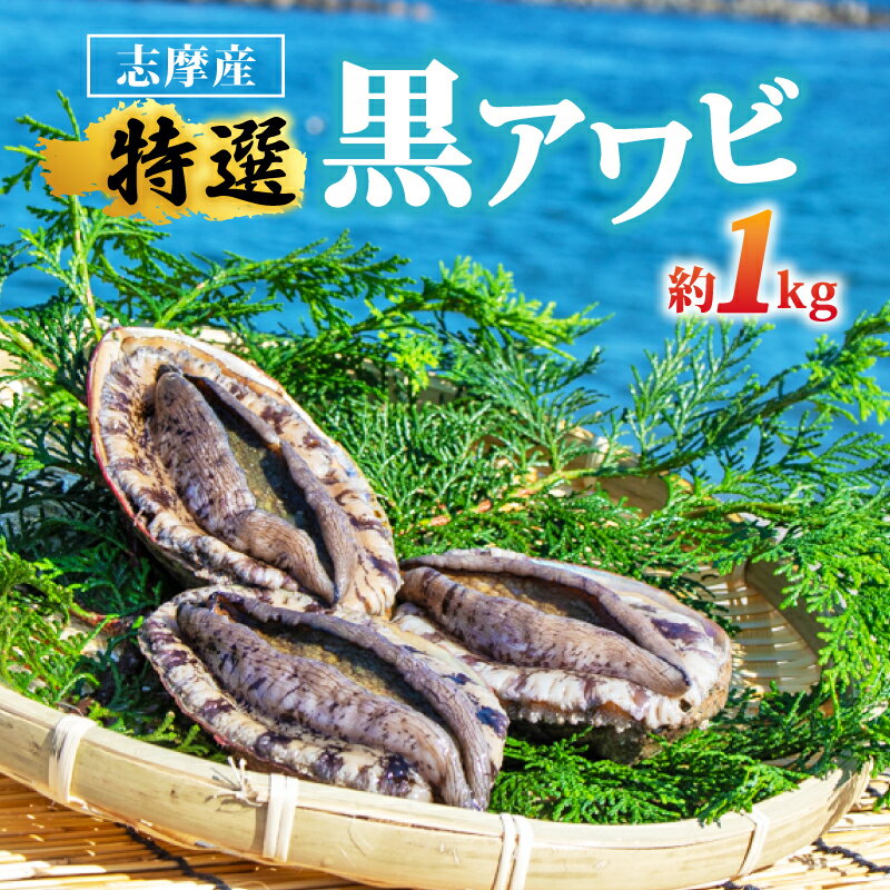 【ふるさと納税】 アワビ 1kg 天然 黒アワビ 志摩産 冷蔵 新鮮 鮑 伊勢 志摩市 海鮮 魚介 海産物 国産 旬 今が旬 貝 活 刺身 刺し身 お刺身 限定 バーベキュー BBQ 三重県 伊勢志摩 期間限定 夏季 夏 お中元 お取り寄せ グルメ