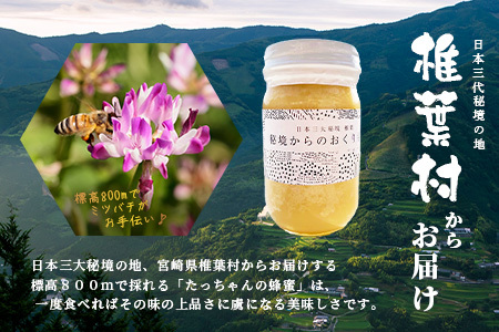 【無添加 非加熱】標高800m たっちゃんのこだわり蜂蜜【170g×3本】(送料無料 宮崎県 椎葉村 秘境 蜂蜜 はちみつ ハチミツ みつばち ミツバチ 伝統的 養蜂 国産 天然 百花蜜 巣箱 数量限