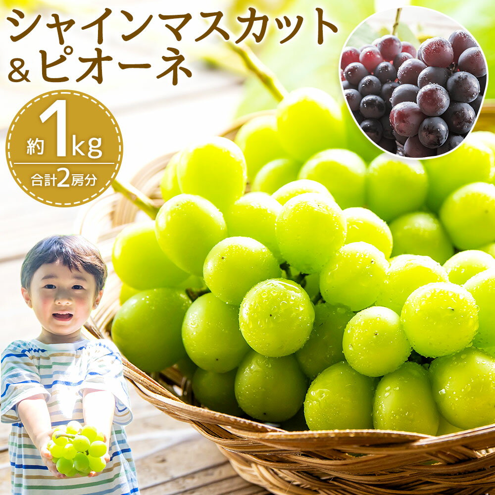 【ふるさと納税】福岡県産 シャインマスカット＆ピオーネ 合計2房 約1kg フルーツ 果物 マスカット ピオーネ ぶどう ブドウ 葡萄 福岡県 嘉麻市 送料無料【2025年8月下旬～9月下旬に順次発送予定】