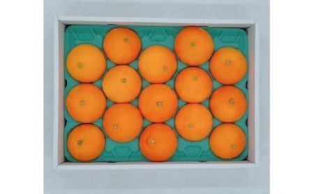 【2026年11月中旬頃から順次発送】 松山市興居島産　紅まどんな　L～3Lサイズ | みかん【FA0453】