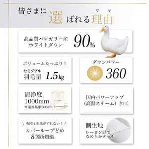 【アンバーホワイト（無地）】京都金桝 冬用羽毛布団 セミダブルサイズ×1枚 【ふとん 布団 寝具 国産 日本製 羽毛布団 羽毛ふとん 羽毛ぶとん うもうぶとん うもうふとん 本掛け 羽毛布団ダブル 掛