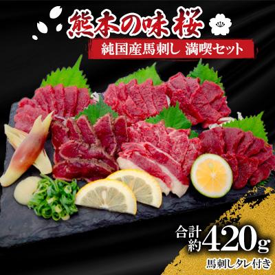 ふるさと納税 山鹿市 熊本の味「桜」　純国産馬刺し　満喫セット約420g　タレ付