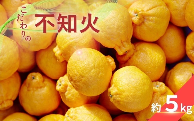
            こだわりの 不知火 約5kg 有機質肥料100% 農家直送 光センサー選別 【2026年2月中旬より順次発送予定（お届け日指定不可）】 不知火 みかん ミカン 柑橘 フルーツ 果物 くだもの 人気 旬 産地直送【CE-nuk111B】
          