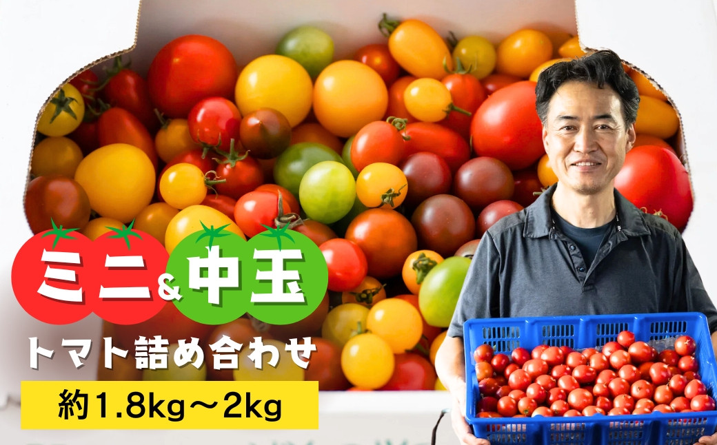 
            トマト 中玉＆ミニ 約1.8kg〜2kg 10種以上 詰め合わせ | とまと tomato 国産 完熟トマト 木熟トマト 野菜 野菜セット 野菜ギフト 贈答 贈り物 プレゼント 旬の野菜 野菜詰め合わせ 詰め合わせ つめあわせ 旬 季節限定 産直 産地直送 農家直送 新鮮 採れたて 獲れたて 産地直送 ベジタブル ヘルシー 健康 北本産 加藤トマト園 埼玉県 北本市
          