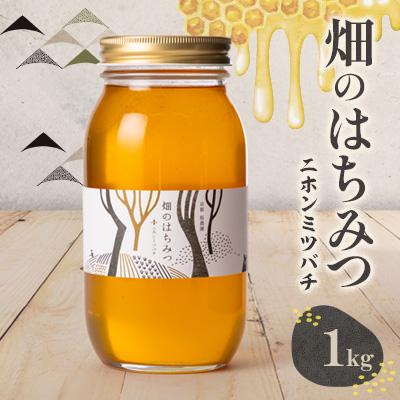 ふるさと納税 精華町 畑のはちみつ1kg