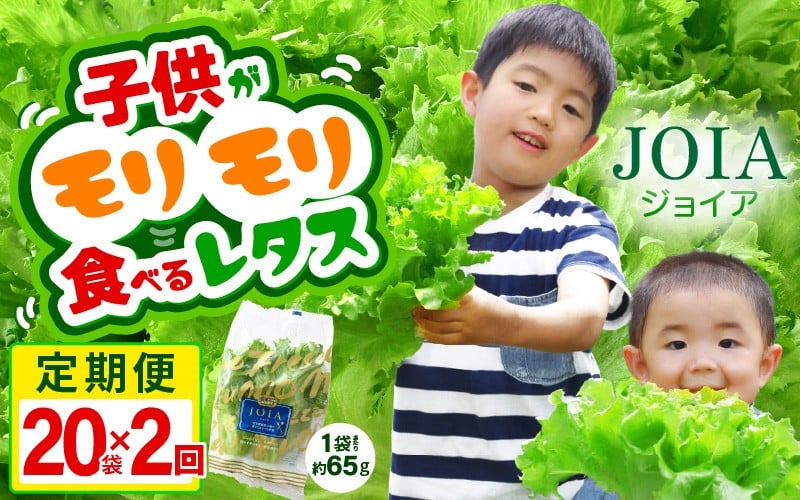 
            定期便 ≪2ヶ月連続お届け≫苦くな～い！野菜ぎらいの子もモリモリ食べるやさしいレタス 約65g×20袋（栽培期間中農薬不使用・洗わず食べられる）【野菜 生野菜 レタス サラダ お弁当 水耕栽培 洗わず食べられる 時短 付け合わせ】[m40-d006]
          