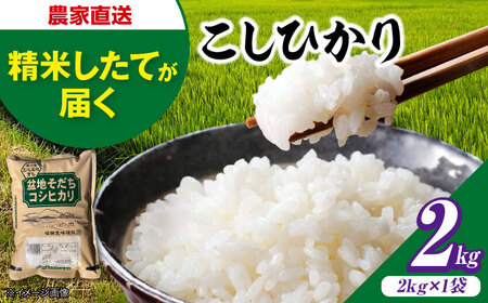 米 盆地そだちこしひかり 2kg[APBM023]米