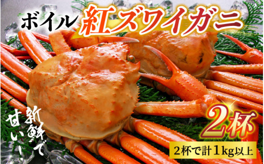 【先行予約】ボイル紅ズワイガニ 冷蔵配送 【26年10月以降順次発送予定】 カネツル砂子商店】/  紅ズワイガニ カニ ズワイガニ 紅ずわいがに かに ずわいがに 北陸 ゆで 蟹 ずわい  茹で蟹 ボイル 2杯 1kg