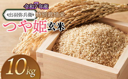 【令和7年産】【新米】特別栽培米 つや姫 【玄米】 10kg（5kg×2袋）　山形県鶴岡市産　出羽弥兵衛