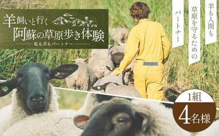 【 体験期間 6月1日ー9月30日 】 羊 飼いと行く 阿蘇 の草原歩き 体験 「私も 羊 も パートナー 」 4名様1組  体験 動物 羊 熊本県 自然 チケット 観光 レジャー