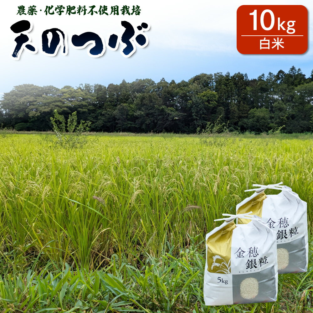 【ふるさと納税】【先行予約】 天のつぶ 白米 10kg 有機的栽培 令和7年産 | 無農薬 農薬不使用 化学肥料不使用 精米 お米 米 福島産 福島県産 南相馬 みさき未来