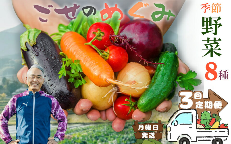 【ふるさと納税】【冷蔵】（定期便）（月曜日発送）季節のこだわり野菜セット　年3回 ／ 奥野ファーム大和 季節野菜 有機肥料 奈良県 御所市
