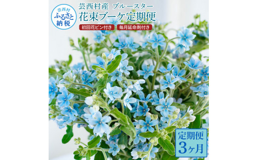 【CF-R5tka】t178tmf　《3ヵ月定期便》 ブルースター 花束 初回花瓶付 定期便 定期コース 全3回 延命剤付き ラッピング 花びん 生花 花束 ブーケ 花 お花 可愛い キレイ おしゃれ 供花 お供え ギフト プレゼント<br>