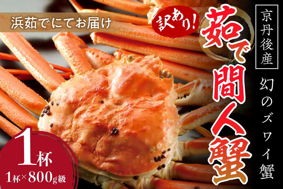 【訳あり！！幻のズワイ蟹】　　京丹後産　茹で間人蟹　鮮度抜群、浜茹でにてお届け！！ 800g級（足1本落ち）×1杯　YK00070