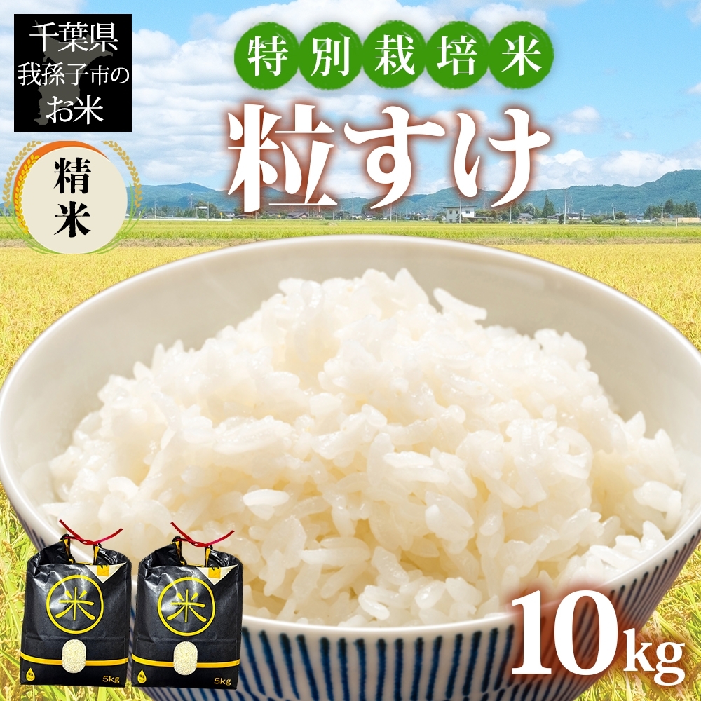 19971003 千葉県　我孫子市産　特別栽培米　精米　粒すけ　１０ｋｇ（５ｋｇ×２）