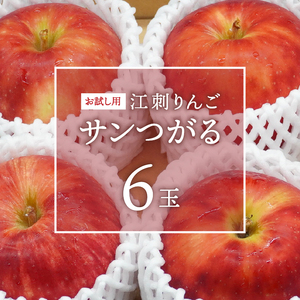 お試し用 江刺りんご 「サンつがる」 6個 【冷蔵】 [AQ090]