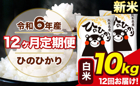 令和6年産 新米 【12ヶ月定期便】 ひのひかり 白米 10kg 5kg×2袋 計12回お届け 熊本県産 こめ コメ 無洗米 精米 荒尾市 ひの 米 定期 《お申込み月の翌月から出荷開始》