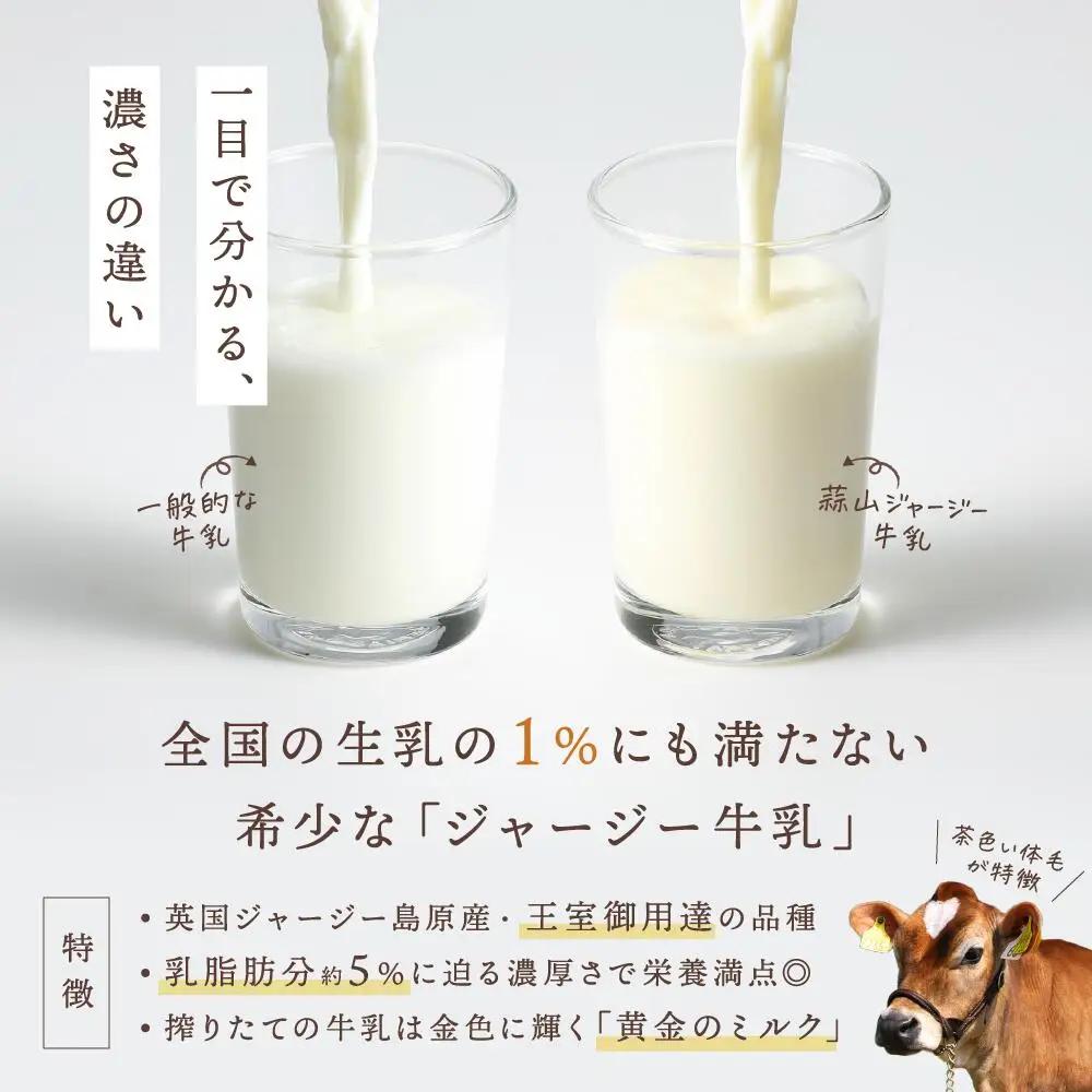 【6回定期便】 ヨーグルト 岡山県真庭市蒜山 ひるぜんジャージー贅沢ヨーグルト(90g)10個×6回定期便 スイーツ 【hiru-tkb006】