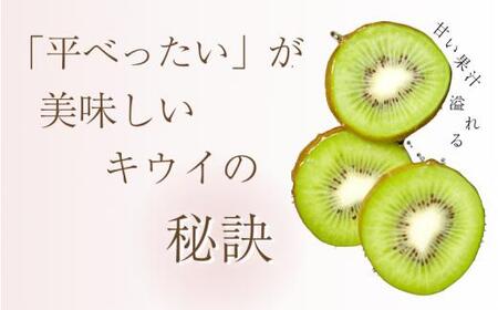 ＜11月より発送＞わけあり キウイ5kg+250g（傷み補償分）【わけあり・訳あり・扁平果】 / 和歌山  フルーツ 果物 くだもの 旬 キウイフルーツ キウイ 栄養たっぷり【ikd712A】