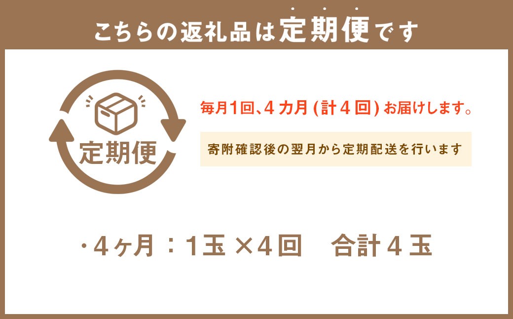 【4ヶ月定期便】静岡県産 高級アローマメロン 小玉 1玉（約0.9kg以上）