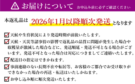 新地町産紅はるか干し芋(皮つき270g)×1袋　干し芋 ほしいも 干しいも 紅はるか　平干し