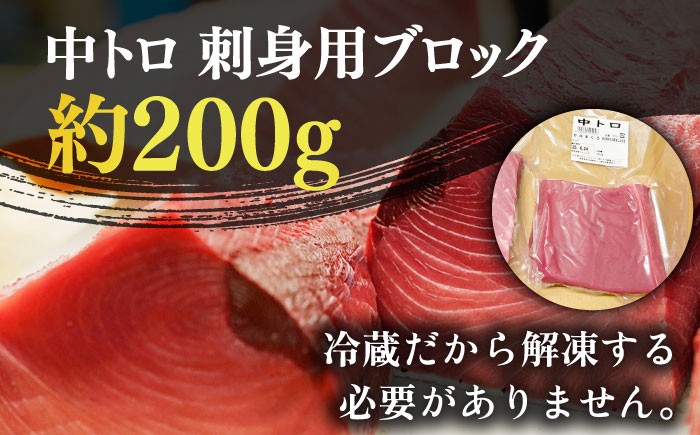 五島列島産 養殖 生本かみマグロ 中トロ 200g / マグロ まぐろ 鮪 刺身 ブロック