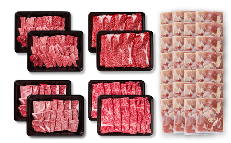 【定期便】宮崎牛・宮崎県産鶏　6回定期便　スライス・焼肉・ステーキ＜9-9＞Y