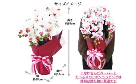 No.829-04 造花 シルクフラワーの胡蝶蘭の鉢植 3本立 光触媒 ホワイトオーキッド