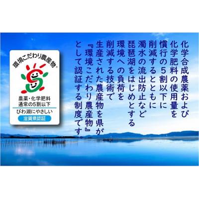 ふるさと納税 近江八幡市 【7年産】近江米 環境こだわり栽培 ミルキークイーン 無洗米 【10kg×1】 |  | 02