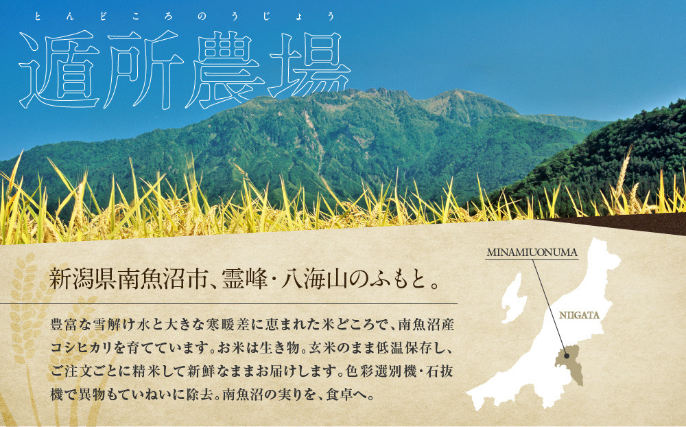 【令和8年産新米予約】【お米定期便/全１２回】南魚沼産コシヒカリ　　白米５ｋｇ【定期便 銘柄米 ブランド米 精米 こしひかり コシヒカリ 魚沼産 新潟米 お米 米 こめ コメ】【2026年10月中旬か