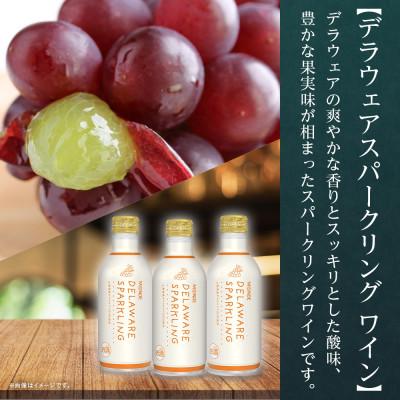 ふるさと納税 笛吹市 モンデ酒造の デラウェアスパークリング 290ml 24本入  山梨県 笛吹市 |  | 01