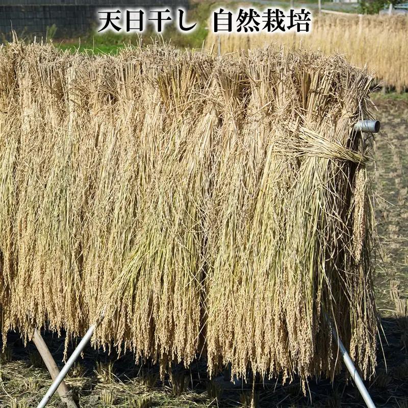 【令和8年産】 天日干しの手間をかけた (はえぬき) 丹野さん家のコメ 精米 1kg FY25-333