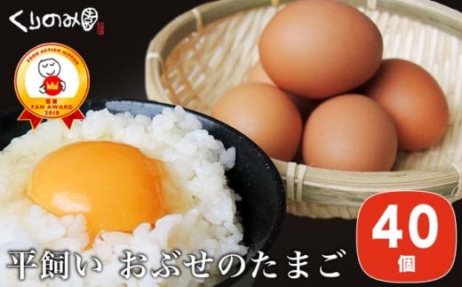 【思いやり型返礼品】 平飼い おぶせのたまご 40個 ［くりのみ園］ 卵 玉子 生卵 鶏卵 長野県産 小布施町産  信州 ［A-22］