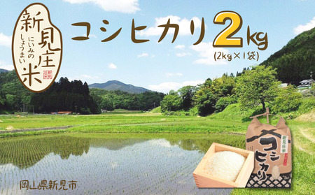 【令和7年産】新見庄米 コシヒカリ 白米 2kg （2kg×1袋）
