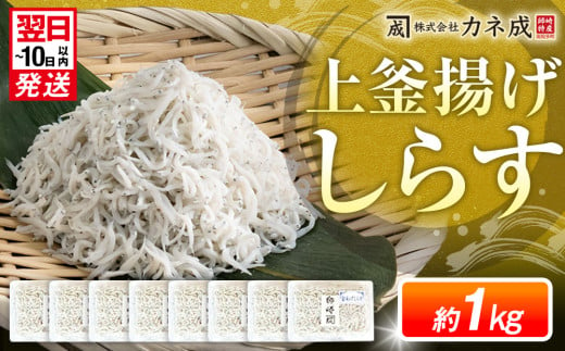 釜揚げ しらす プレミアム 約1kg (130g×8パック) 小分け 減塩 無添加 無着色 冷凍 愛知県 南知多町 ご飯 ごはん 丼 料理 シラス 国産 カネ成 人気 おすすめ