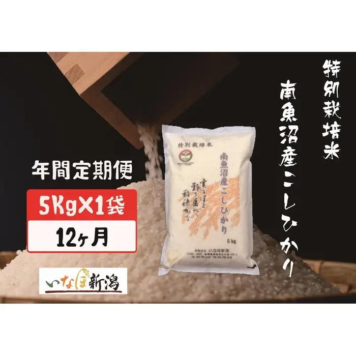 【令和7年度】【定期配送】南魚沼産コシヒカリ特別栽培米 白米 5kg 全12回 | コシヒカリ