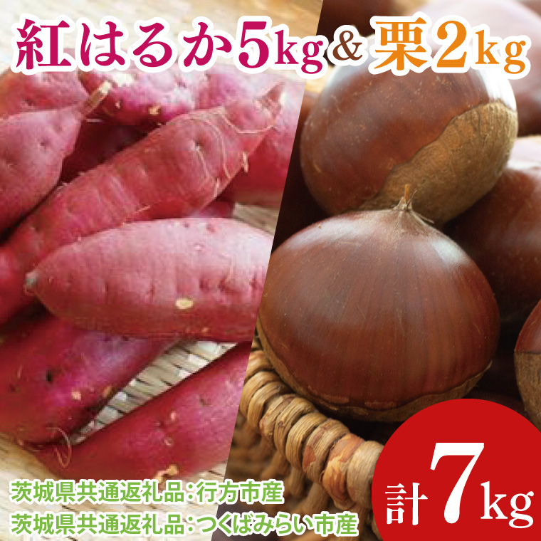 【先行予約】【2025年9月より順次発送】紅はるか5kg と 栗2kg（茨城県共通返礼品：行方市、つくばみらい市）｜さつまいも サツマイモ べにはるか くり セット 数量限定 茨城県 大子町（CD121）