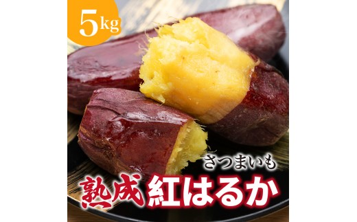 
                  にかほ市 象潟町 大須郷産「 さつまいも 2ヶ月 熟成 紅はるか 5kg 」【 産地直送 国産 芋 おいも 定番 焼き芋 イモ 野菜 長期熟成 秋田県 にかほ】
                