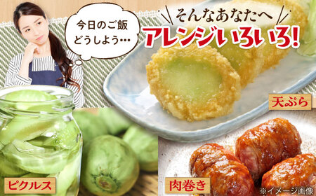 【7月下旬以降順次発送】　摘果メロン 1.8kg　《喜茂別町》【久保田農園】メロン 子メロン ベビーメロン 漬物 野菜 旬 果物 先行予約 フルーツ[AJAM012]