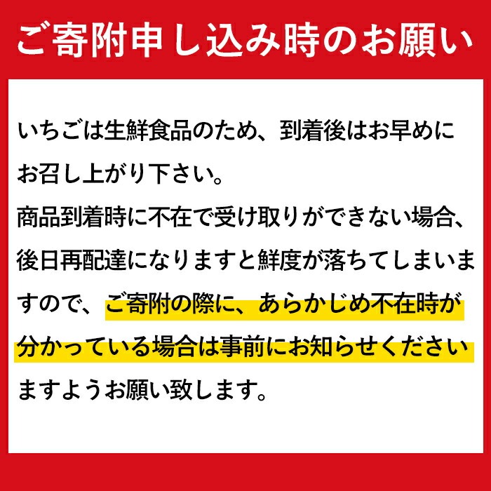 No.1139 ＜先行予約受付中！＞白いちご エンジェルエイト(約600g～1.04kg) 国産 九州産 鹿児島 日置市 生鮮食品 苺 イチゴ 白苺 果物  フルーツ 天使のいちご【ままりあ農園】