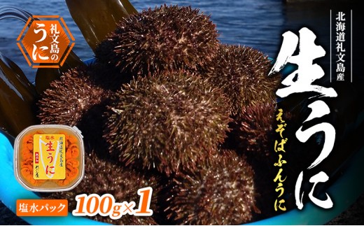 
                  北海道 礼文島産 エゾバフンウニ 塩水パック 100g×1個［合同会社れぶん屋］ ミョウバン不使用【 うに ウニ 雲丹 生うに 塩水うに バフンウニ 海鮮 うに丼 濃厚 甘み 】
                